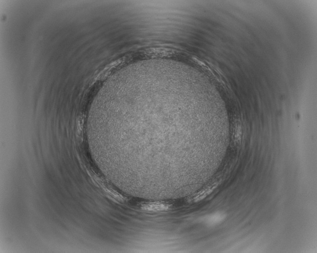 X0000081600759200702051329