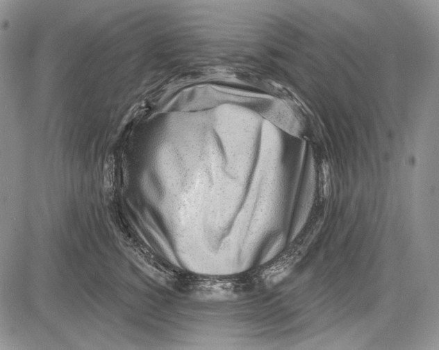 X0000081600760200702051329