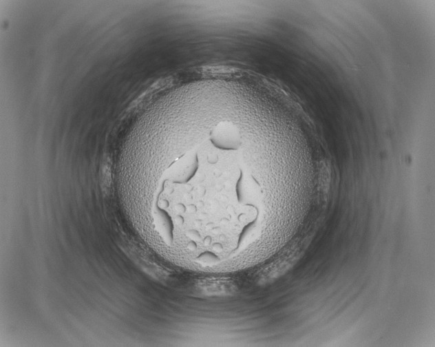 X0000081600761200702051329