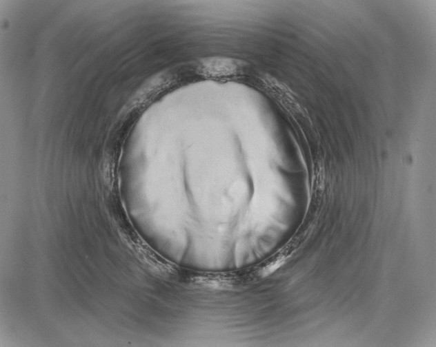 X0000081600763200702051329