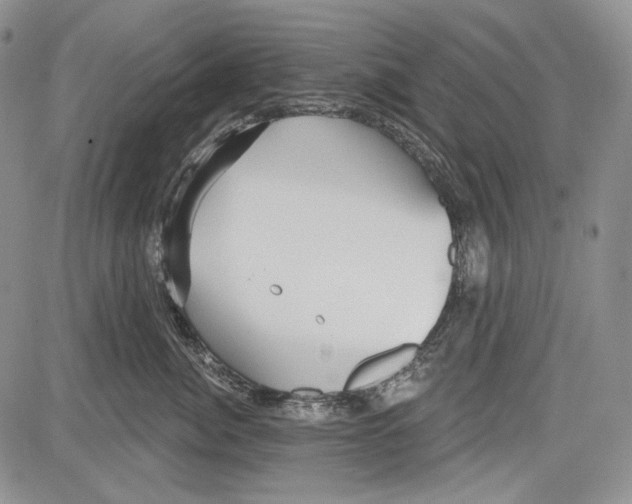 X0000081600764200702051329