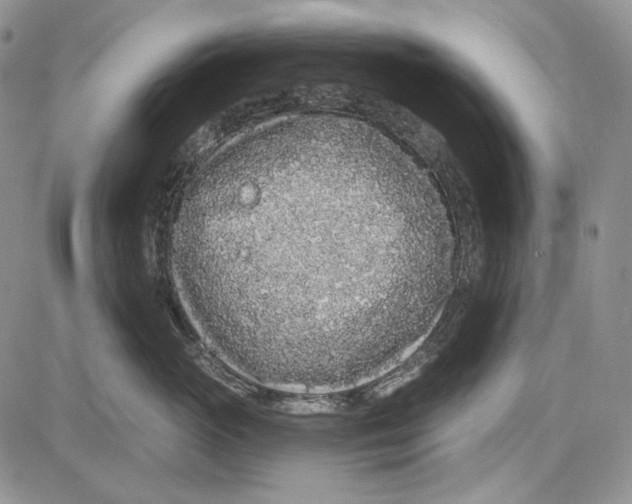 X0000081600765200702051329