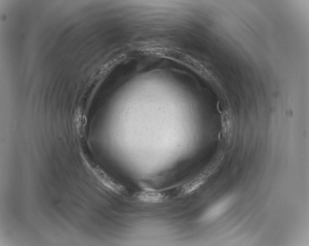 X0000081600767200702051329