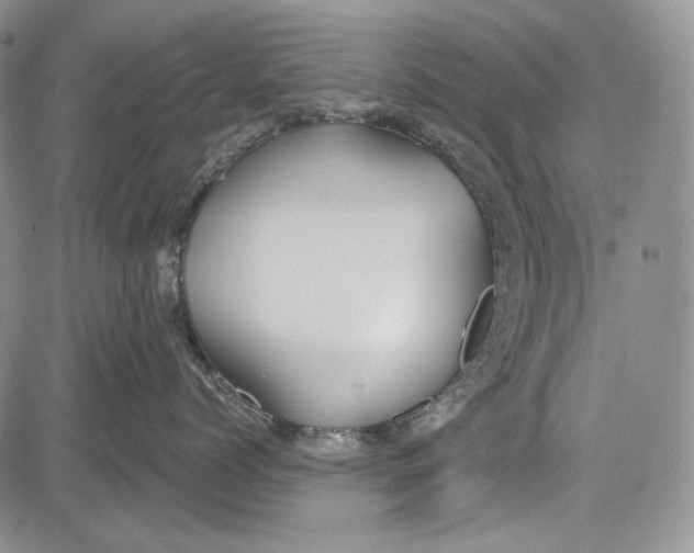 X0000081600768200702051329