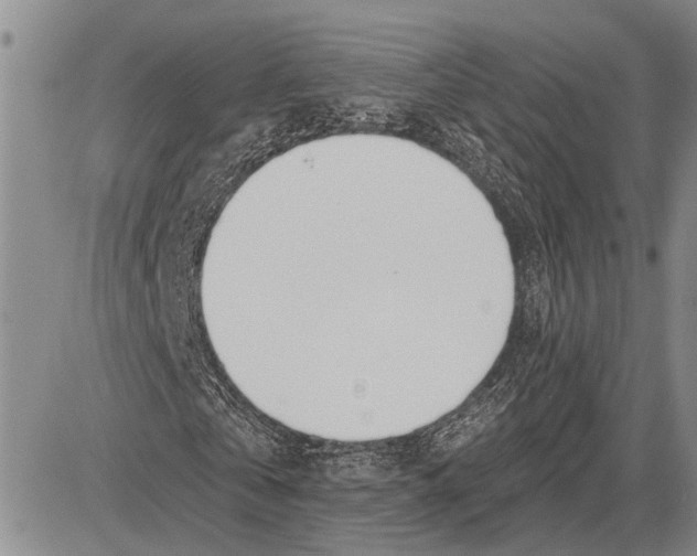 X0000081600769200702051328