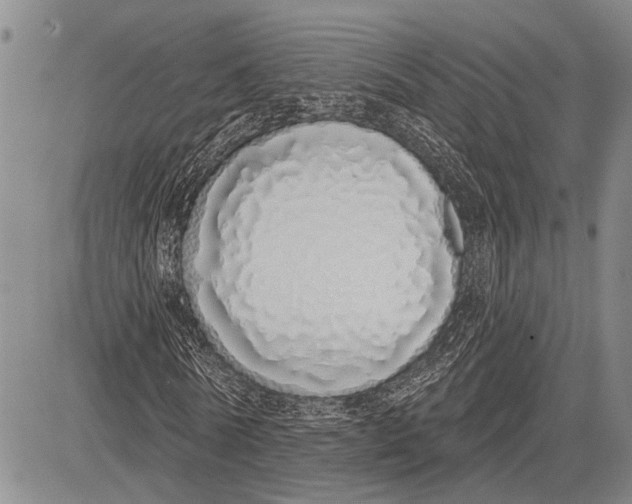 X0000081600770200702051328