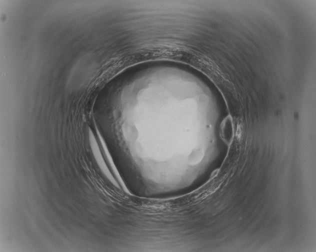 X0000081600771200702051328