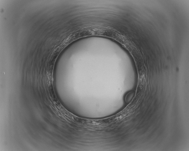 X0000081600772200702051328