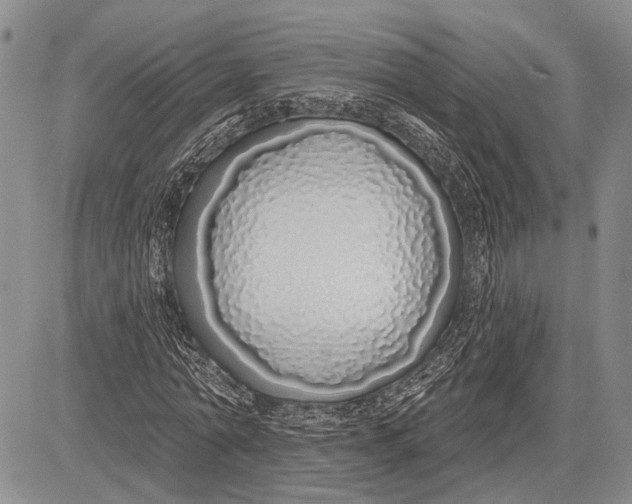 X0000081600774200702051328