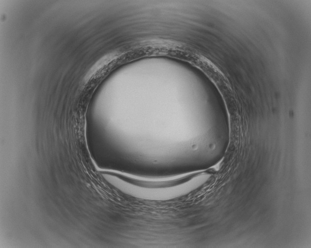 X0000081600775200702051328