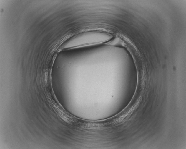 X0000081600777200702051328