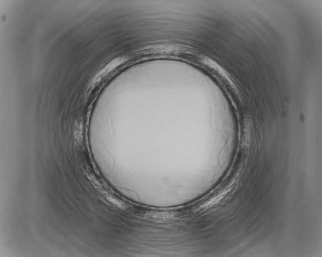 X0000081600778200702051328