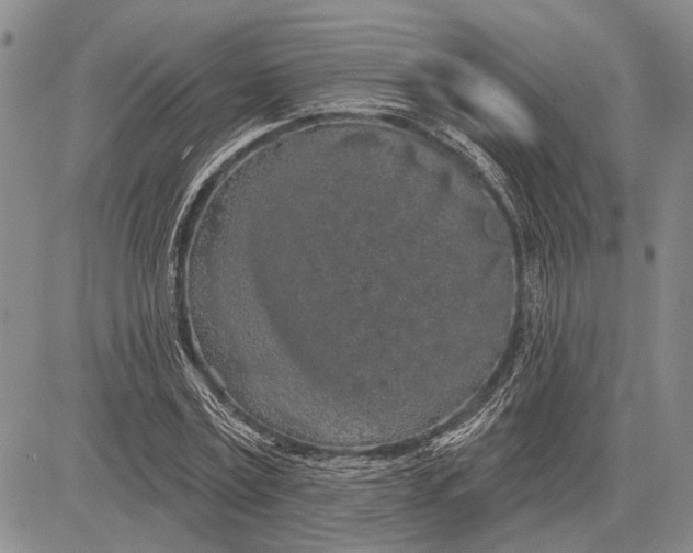 X0000081600779200702051328