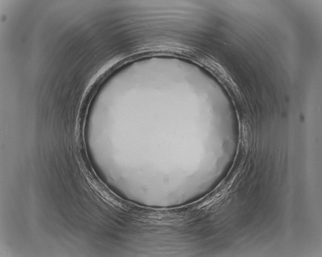 X0000081600780200702051328