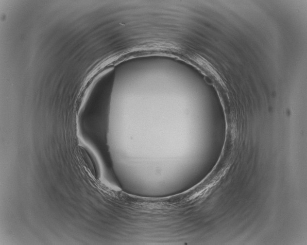 X0000081600781200702051328