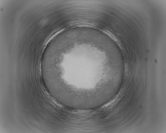 X0000081600782200702051328