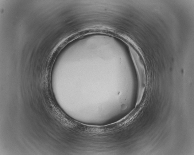 X0000081600783200702051328