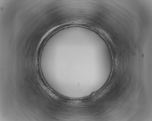 X0000081600784200702051328