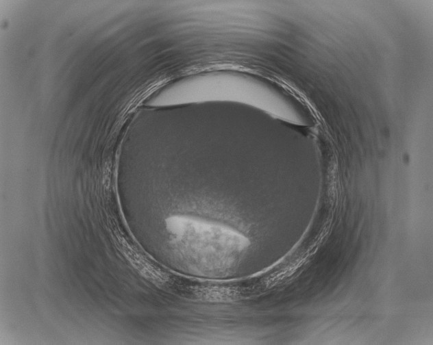 X0000081600785200702051328