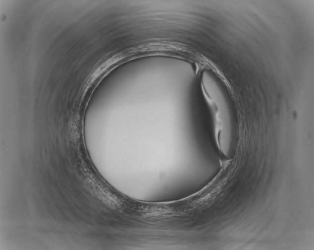 X0000081600786200702051328