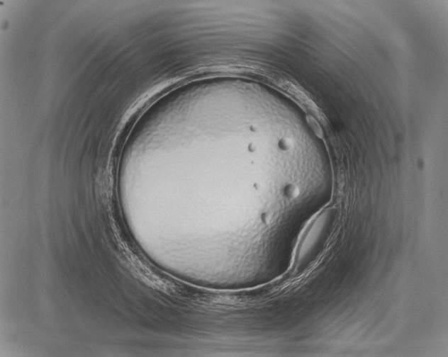 X0000081600787200702051328