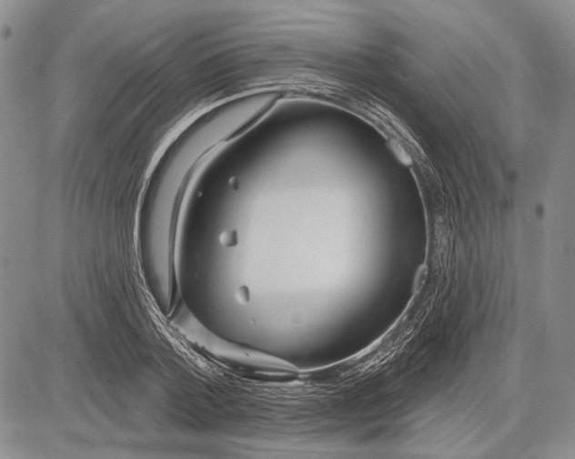 X0000081600788200702051328