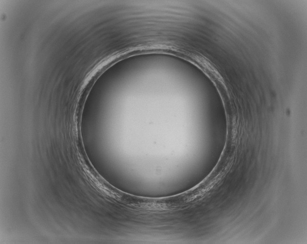 X0000081600789200702051328