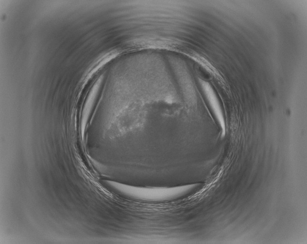 X0000081600790200702051328