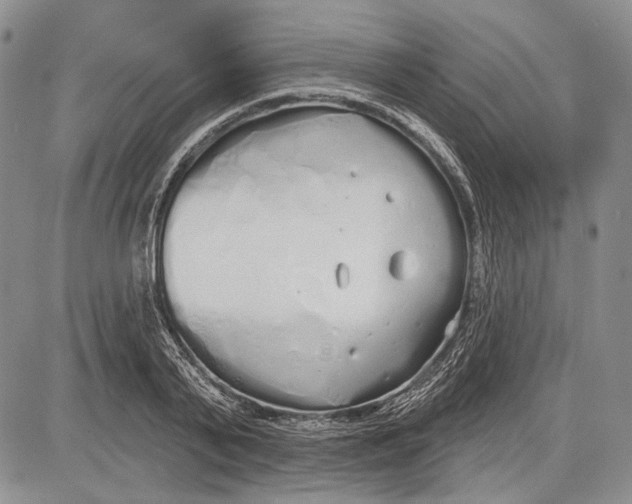 X0000081600791200702051328