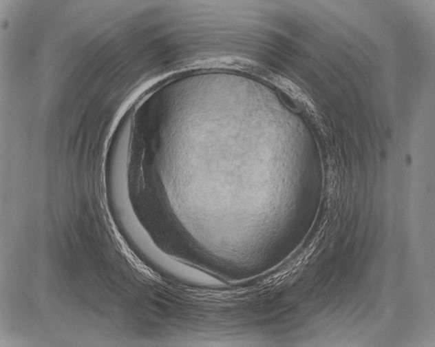 X0000081600792200702051328