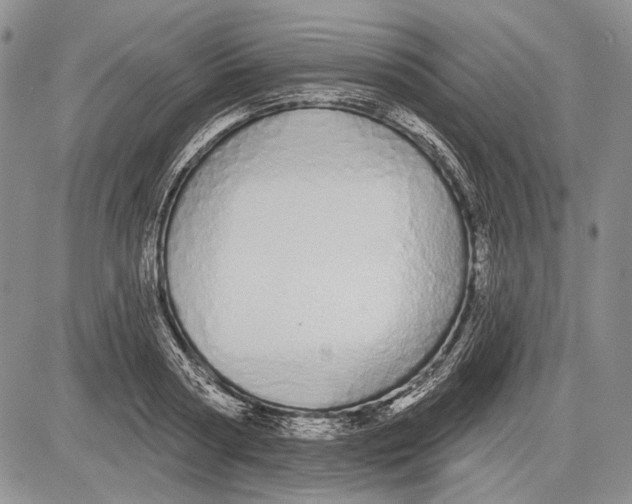 X0000081600794200702051328