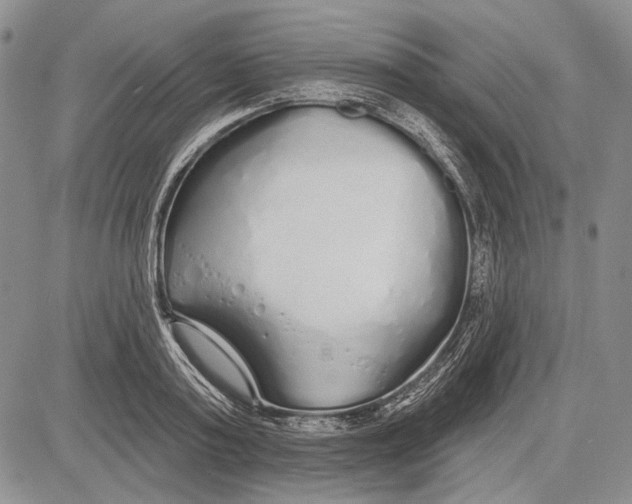 X0000081600795200702051328