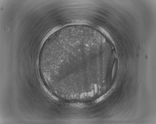 X0000081600797200702051328