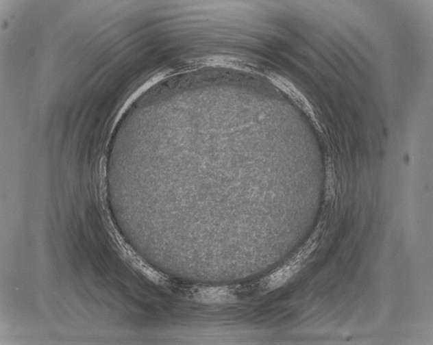 X0000081600798200702051328