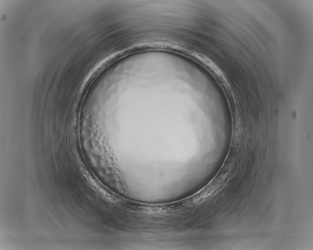 X0000081600799200702051328