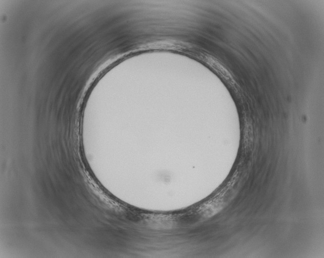 X0000081600800200702051328