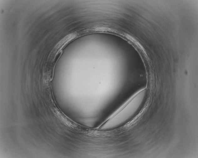 X0000081600801200702051328