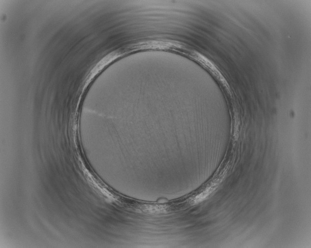 X0000081600802200702051328