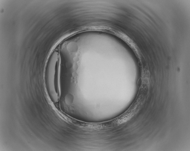 X0000081600803200702051328