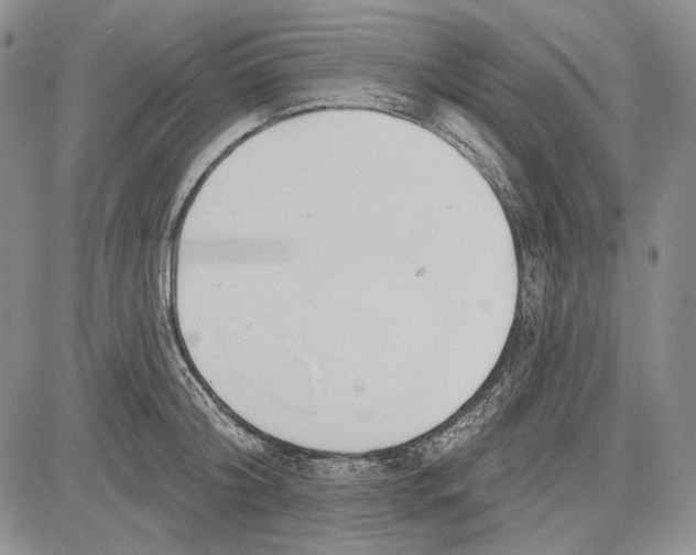 X0000081600804200702051328