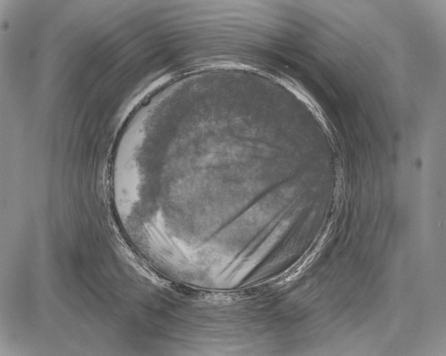 X0000081600806200702051328