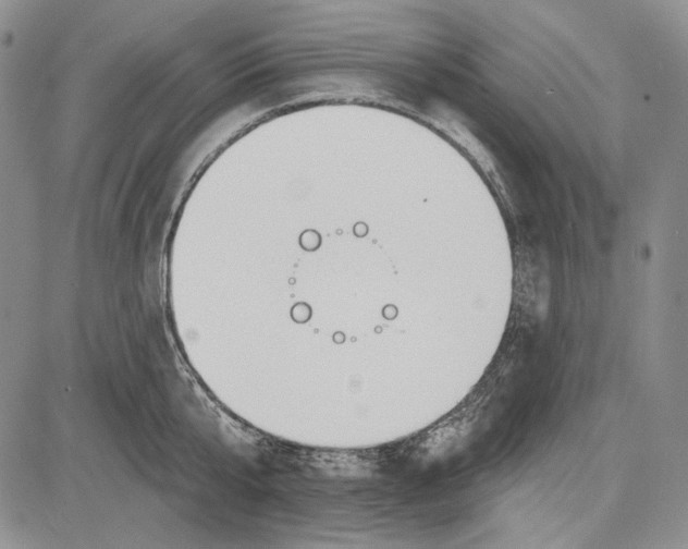 X0000081600807200702051328