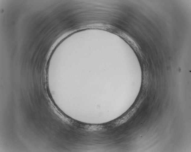 X0000081600808200702051328