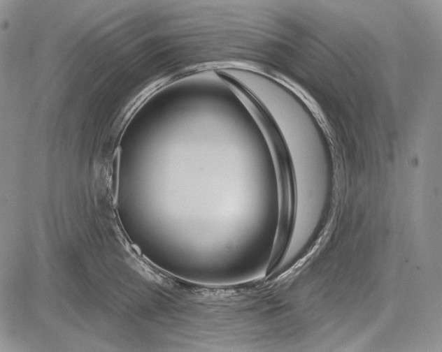 X0000081600809200702051328