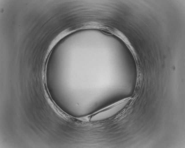 X0000081600811200702051328