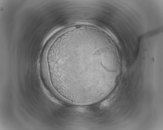 X0000081600814200702051328