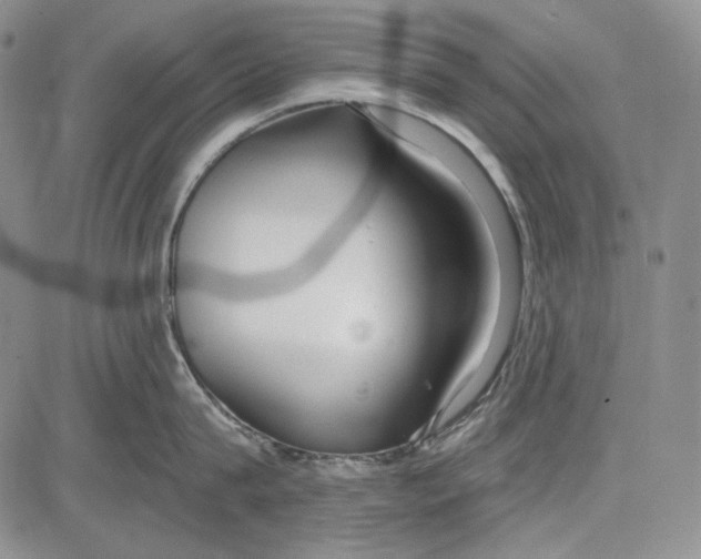 X0000081600815200702051327