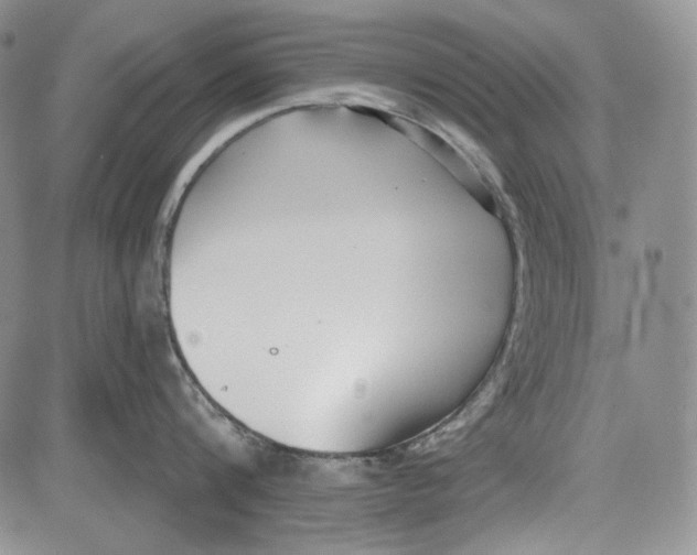 X0000081600816200702051327