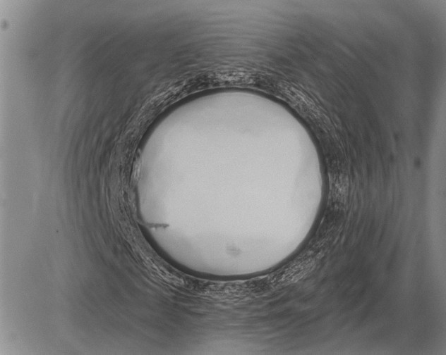 X0000081600817200702051327