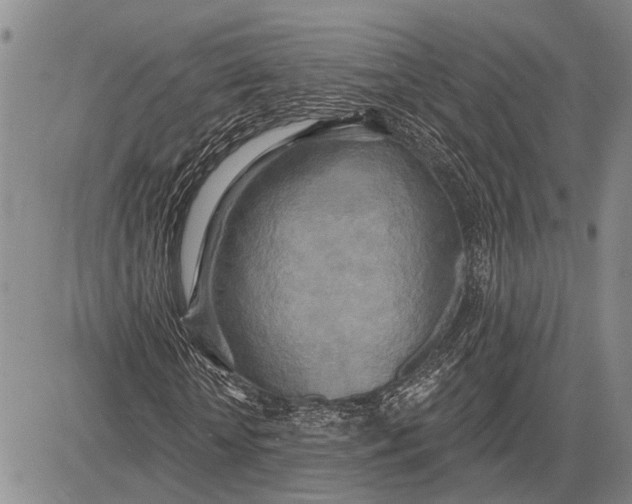 X0000081600818200702051327